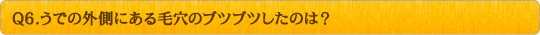 Q6.うでの外側にある毛穴のブツブツしたのは？